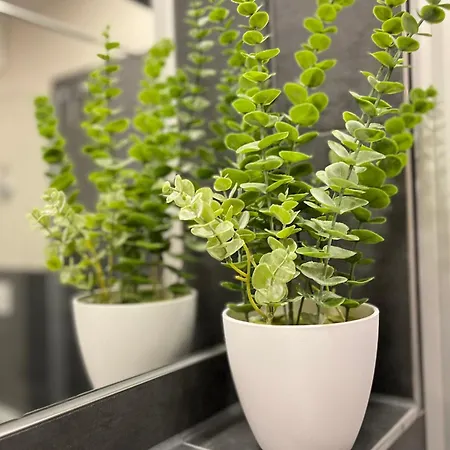 Apartmán Baltischer Hof 08