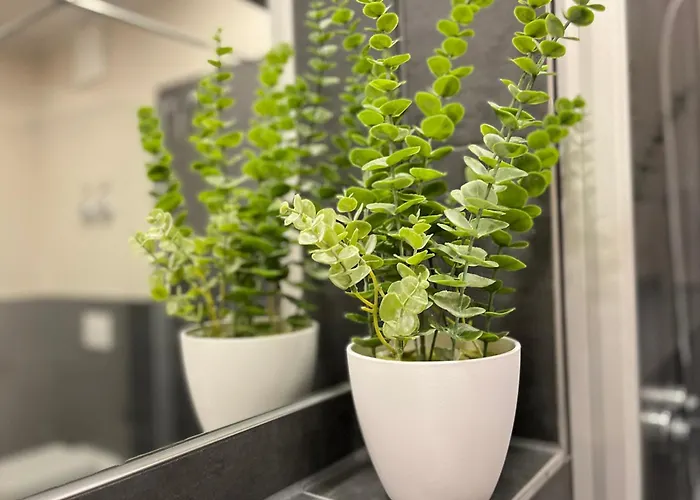 Apartman Baltischer Hof 08